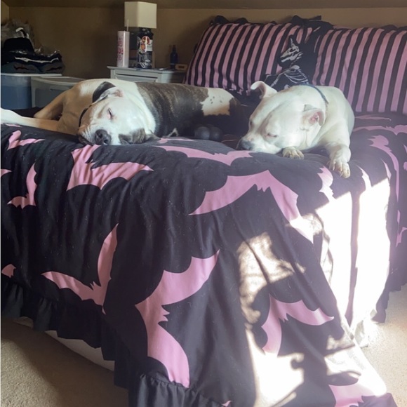 Meet your Posher, Brittney - Picture 5 of 16